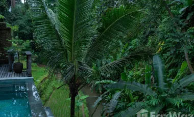 2 Bedroom Villa for sale in Payangan, Bali