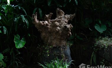 2 Bedroom Villa for sale in Payangan, Bali