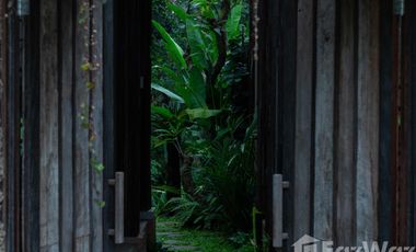 2 Bedroom Villa for sale in Payangan, Bali