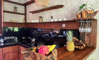 2 Bedroom Villa for sale in Payangan, Bali