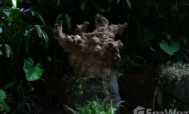 2 Bedroom Villa for sale in Payangan, Bali