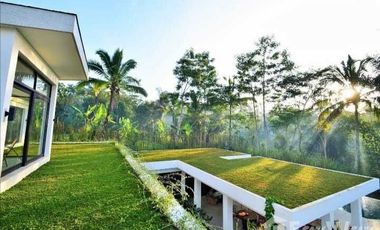 6 Bedroom Villa for sale in Tegallalang, Bali