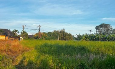 Land for sale in Mengwi, Bali