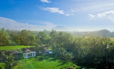 6 Bedroom Villa for sale in Sukawati, Bali