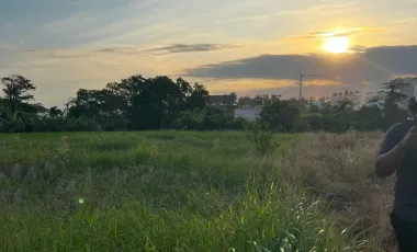 Land for sale in Mengwi, Bali
