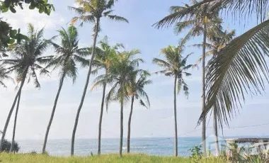 Land for sale in Seseh, Bali