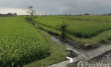 Land for sale in Seseh, Bali