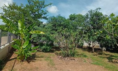 3 Bedroom House for sale in Ban Kluai, Chai Nat