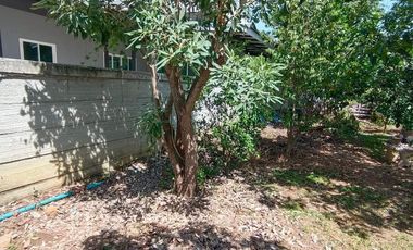 3 Bedroom House for sale in Ban Kluai, Chai Nat