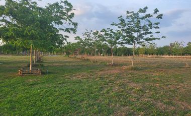 3 Bedroom House for sale in Nong Phai, Phetchabun