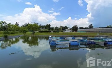 3 Bedroom House for sale in Nong Phai, Phetchabun
