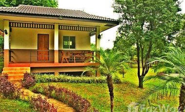 Land for sale in San Sai, Chiang Rai