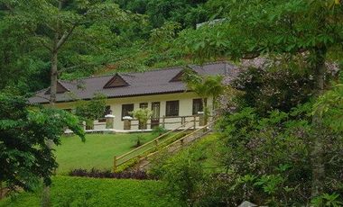 Land for sale in San Sai, Chiang Rai