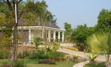 Land for sale in San Sai, Chiang Rai