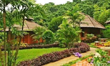 Land for sale in San Sai, Chiang Rai