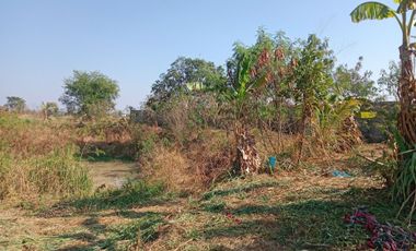 2 Bedroom Warehouse for sale in Non Daeng, Chaiyaphum