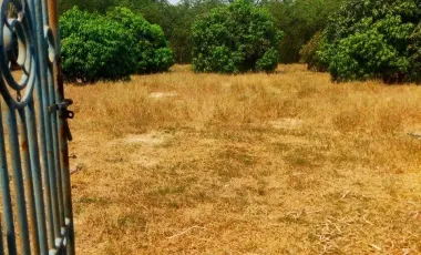 2 Bedroom House for sale in Nikhom Sang Ton-Eng Lam Dom Noi, Ubon Ratchathani