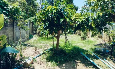 4 Bedroom House for sale in Tha Sap, Yala
