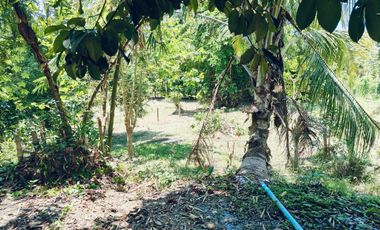 4 Bedroom House for sale in Tha Sap, Yala