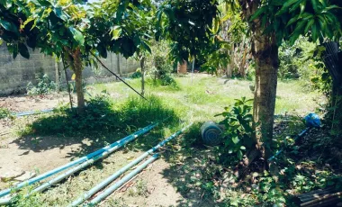 4 Bedroom House for sale in Tha Sap, Yala
