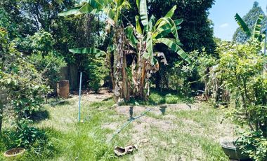 4 Bedroom House for sale in Tha Sap, Yala