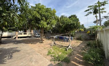 3 Bedroom House for sale in Ban Tom, Phayao