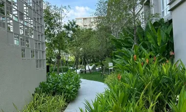 For Rent: Dcondo Sand Hatyai — Brand New Condo Near Central