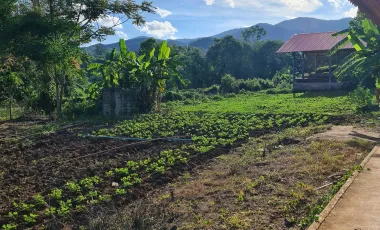 3 Bedroom Villa for rent in Huai Sak, Chiang Rai