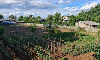 3 Bedroom Villa for rent in Huai Sak, Chiang Rai