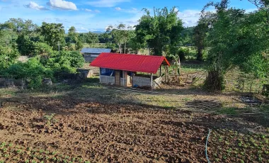 3 Bedroom Villa for rent in Huai Sak, Chiang Rai