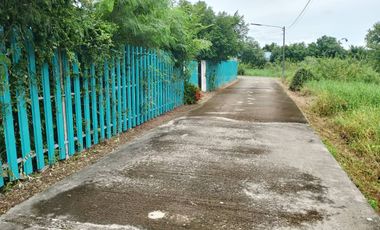 1 Bedroom House for sale in Ban Na, Nakhon Nayok