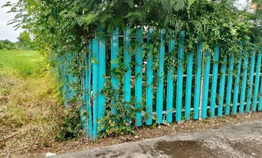 1 Bedroom House for sale in Ban Na, Nakhon Nayok