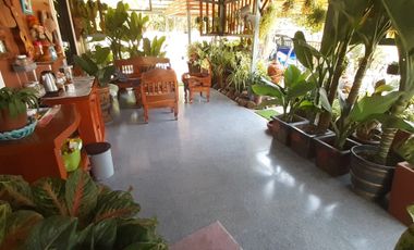 2 Bedroom House for sale in Wang Thong, Phitsanulok