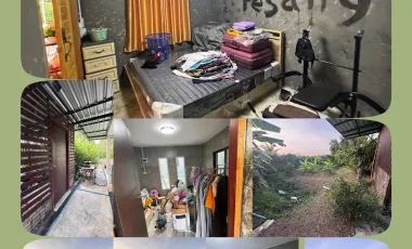 5 Bedroom House for sale in Nong Pling, Nakhon Sawan