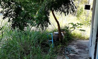 3 Bedroom House for sale in Mu Mon, Roi Et