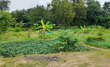 3 Bedroom House for sale in Sanom, Surin