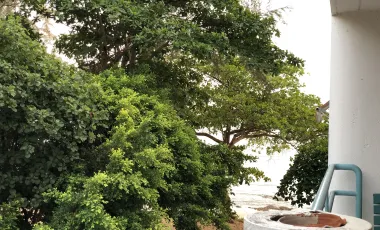 Fresh Sea breaze, sea side condo