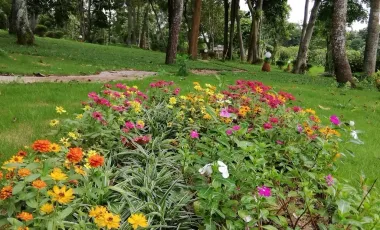 4 Bedroom House for rent in Pa O Don Chai, Chiang Rai