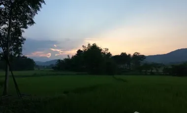 4 Bedroom House for rent in Pa O Don Chai, Chiang Rai