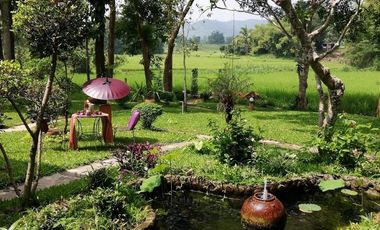 4 Bedroom House for rent in Pa O Don Chai, Chiang Rai