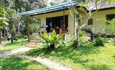 4 Bedroom House for rent in Pa O Don Chai, Chiang Rai