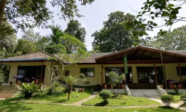 4 Bedroom House for rent in Pa O Don Chai, Chiang Rai
