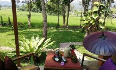4 Bedroom House for rent in Pa O Don Chai, Chiang Rai