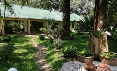 4 Bedroom House for rent in Pa O Don Chai, Chiang Rai