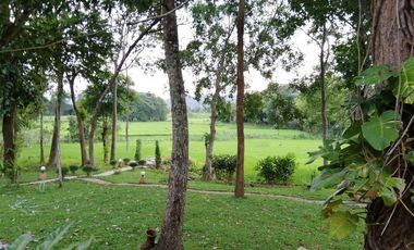 4 Bedroom House for rent in Pa O Don Chai, Chiang Rai