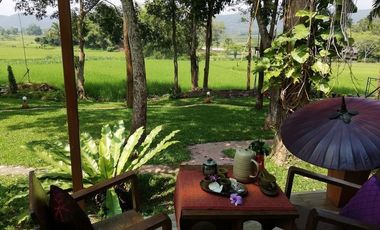 4 Bedroom House for rent in Pa O Don Chai, Chiang Rai