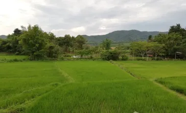 4 Bedroom House for rent in Pa O Don Chai, Chiang Rai