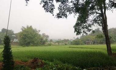 4 Bedroom House for rent in Pa O Don Chai, Chiang Rai