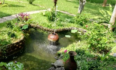 4 Bedroom House for rent in Pa O Don Chai, Chiang Rai