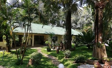 4 Bedroom House for rent in Pa O Don Chai, Chiang Rai